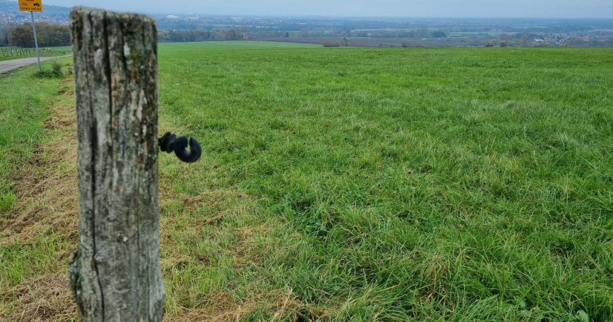 découvrez notre service d'installateur de panneaux photovoltaïques à obernai. profitez de solutions écologiques et économiques pour votre énergie. transformez votre toit en une source d'énergie renouvelable et réduisez votre facture d'électricité tout en contribuant à la préservation de l'environnement.