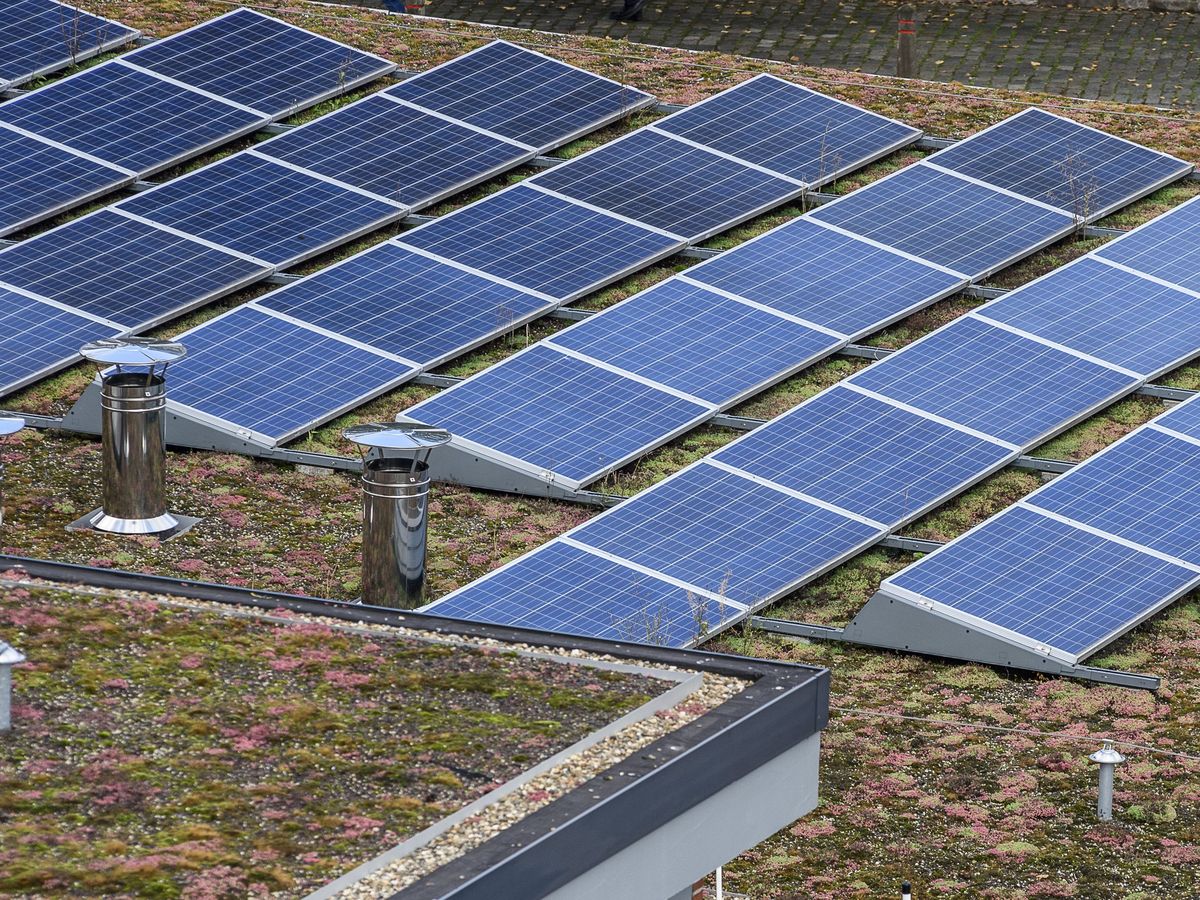 découvrez notre service d'installation de panneaux photovoltaïques à wintzenheim. profitez d'une énergie renouvelable et réduisez vos factures d'électricité grâce à nos solutions adaptées. contactez-nous pour un devis personnalisé.