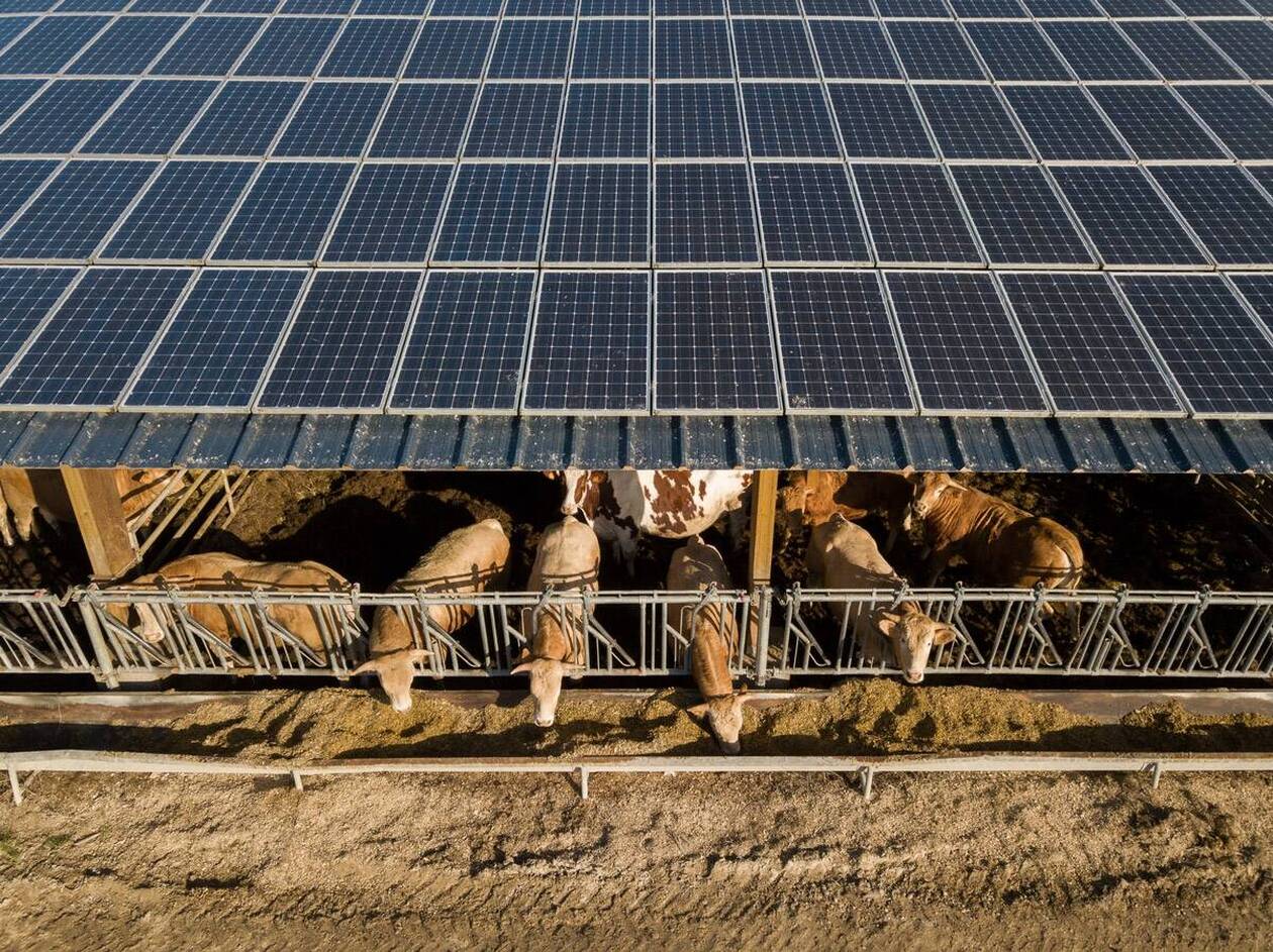 découvrez vos solutions énergétiques durables avec notre service d'installateur photovoltaïque en bretagne. bénéficiez d'un accompagnement expert pour l'installation de panneaux solaires, maximisez votre indépendance énergétique et réduisez vos factures d'électricité tout en préservant l'environnement.