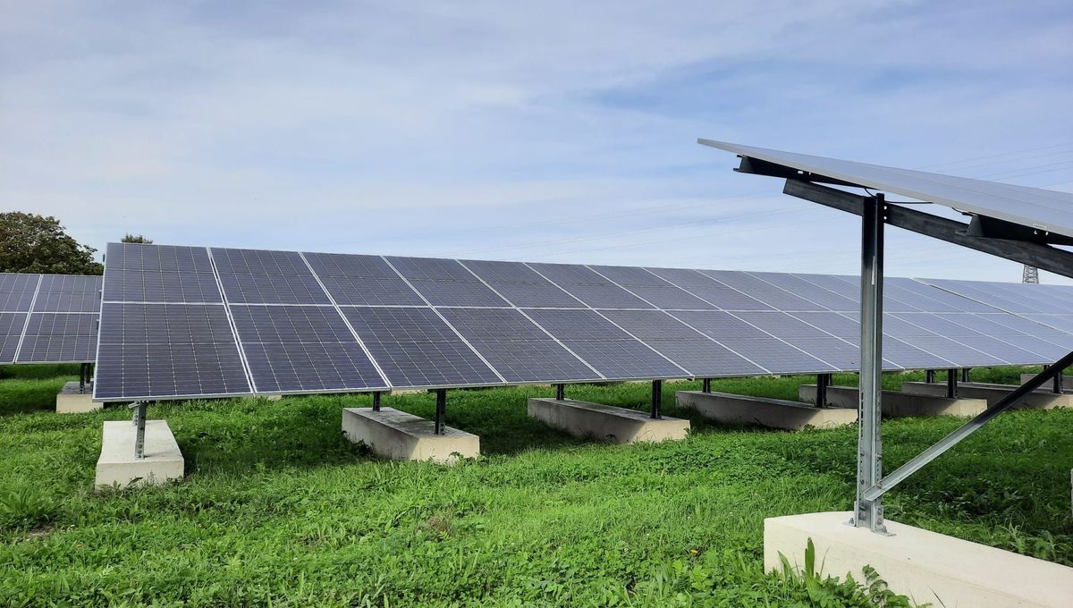 découvrez nos services d'installation de panneaux photovoltaïques en corse. profitez d'une énergie renouvelable et d'économies sur vos factures d'électricité. des solutions sur mesure pour tous vos besoins énergétiques.