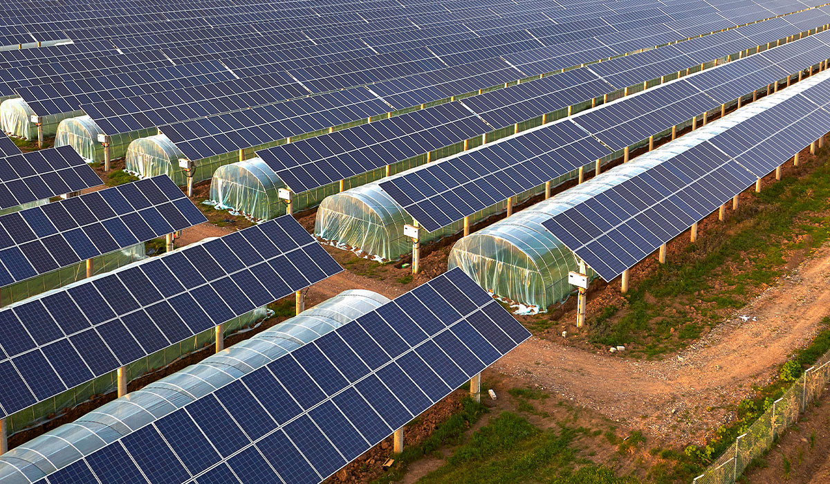 découvrez notre service d'installateur photovoltaïque innovant, dédié à vous fournir des solutions d'énergie solaire sur mesure, alliant efficacité, durabilité et technologie de pointe. profitez d'une transition énergétique simplifiée et d'une réduction de votre empreinte carbone grâce à nos installations de panneaux solaires performants.