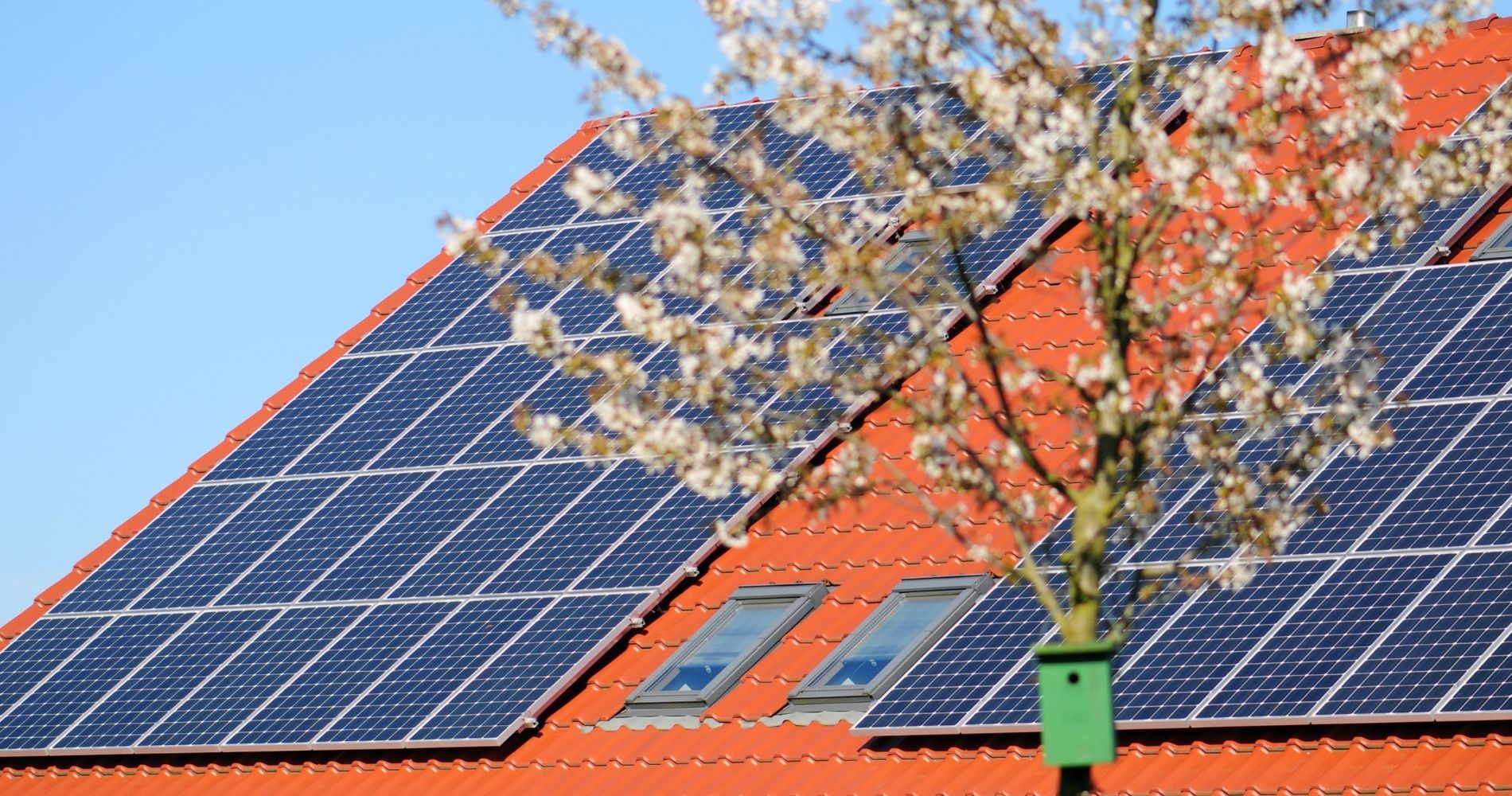 découvrez nos services d'installation de panneaux photovoltaïques à niort. profitez d'une énergie renouvelable et d'économies sur vos factures d'électricité grâce à nos experts locaux. contactez-nous pour un devis personnalisé et transformez votre maison en une source d'énergie durable.