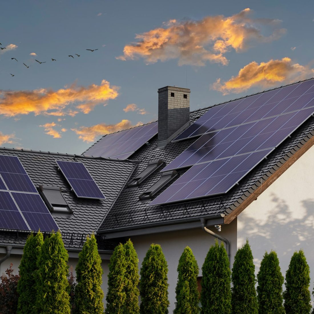 découvrez nos services d'installation photovoltaïque à rennes. profitez d'une énergie propre et renouvelable, tout en faisant des économies sur vos factures d'électricité. contactez-nous pour un devis personnalisé et devenez acteur de la transition énergétique.