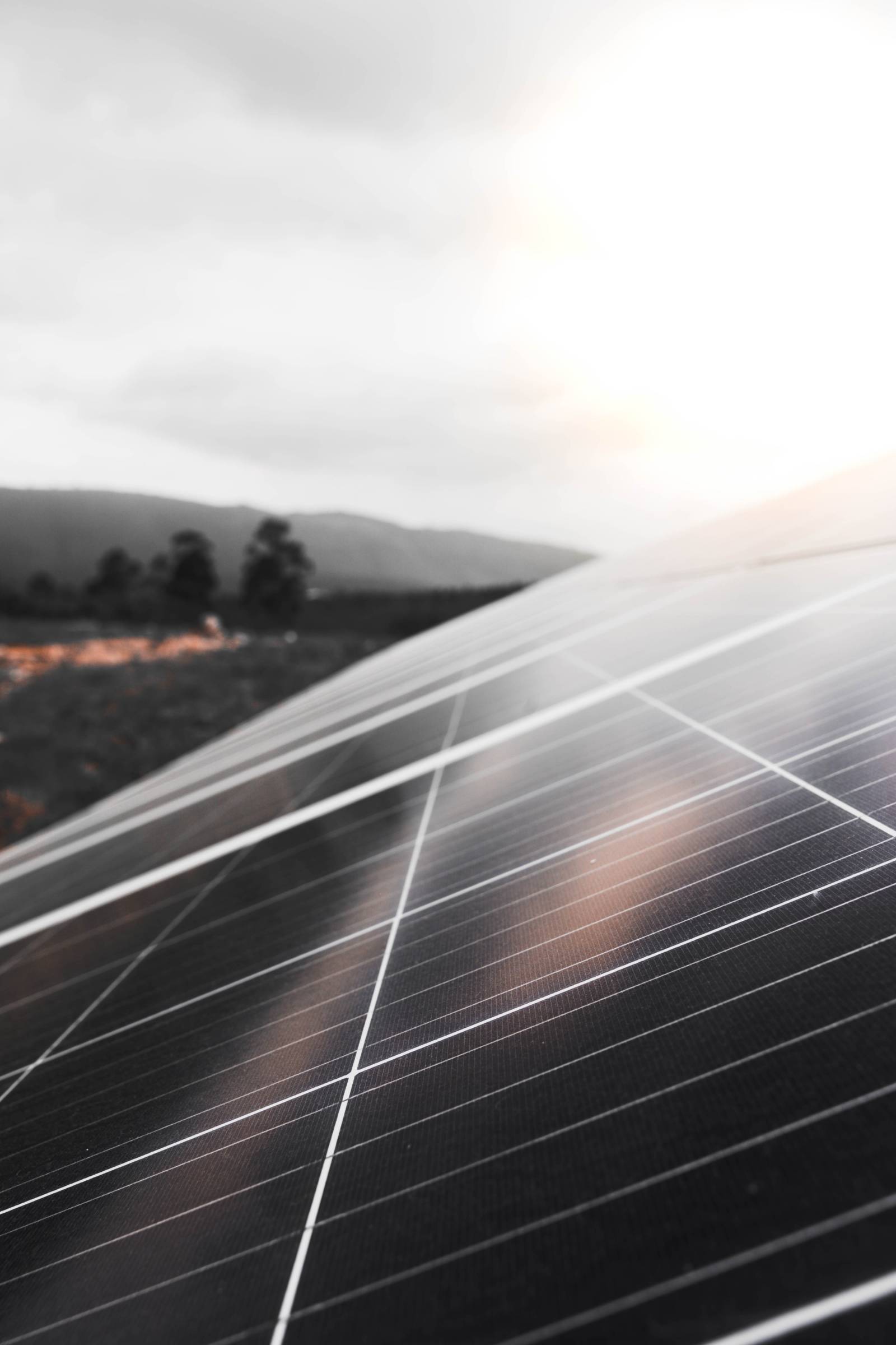 découvrez les services d'un installateur photovoltaïque en rhône-alpes pour profiter d'une énergie renouvelable, économique et respectueuse de l'environnement. bénéficiez d'une expertise locale pour l'installation de panneaux solaires adaptés à vos besoins.
