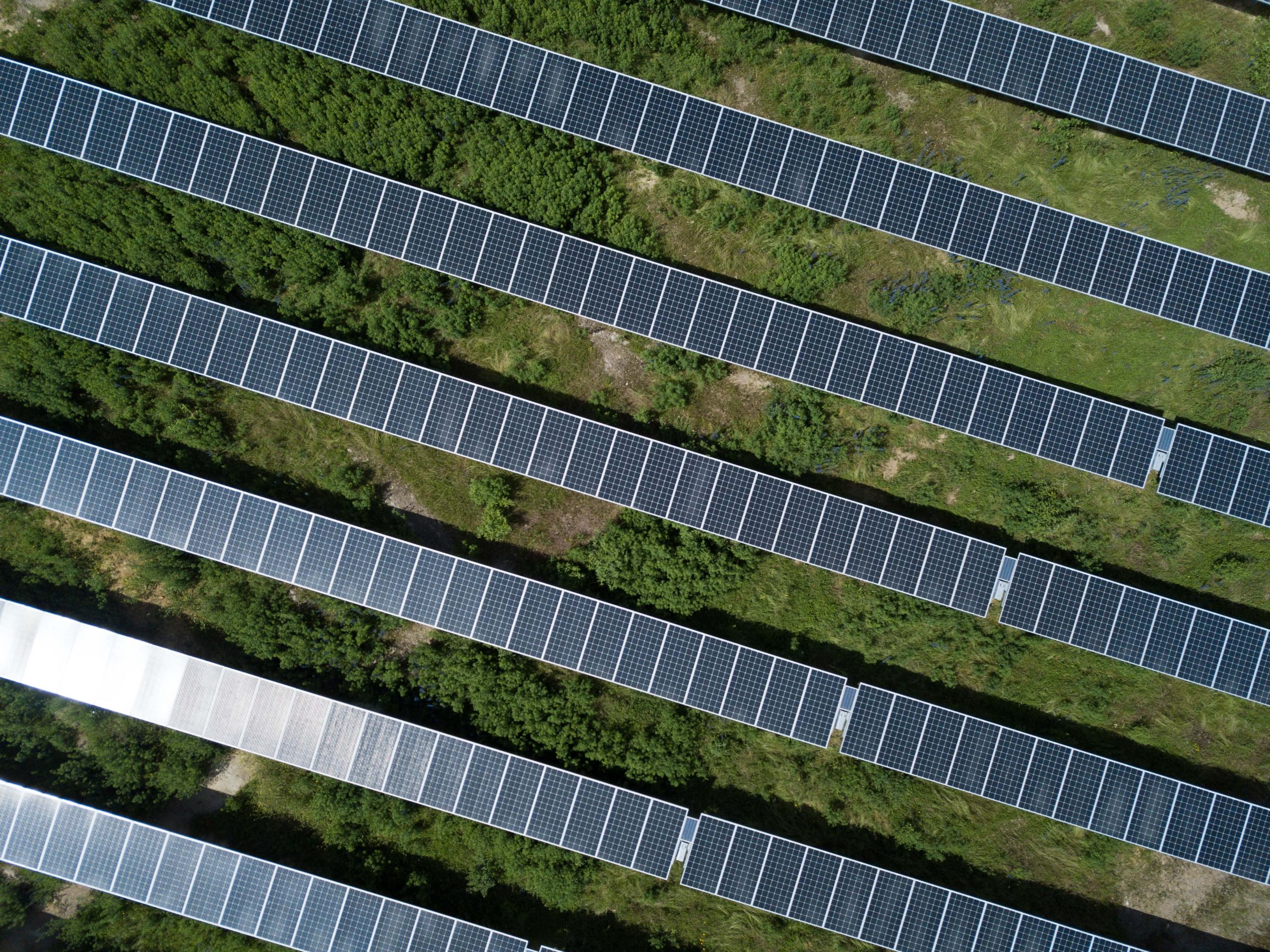découvrez les avantages des systèmes photovoltaïques au sol, une solution écologique et rentable pour produire de l'énergie renouvelable. apprenez comment ces installations contribuent à la transition énergétique et à la réduction des émissions de co2.