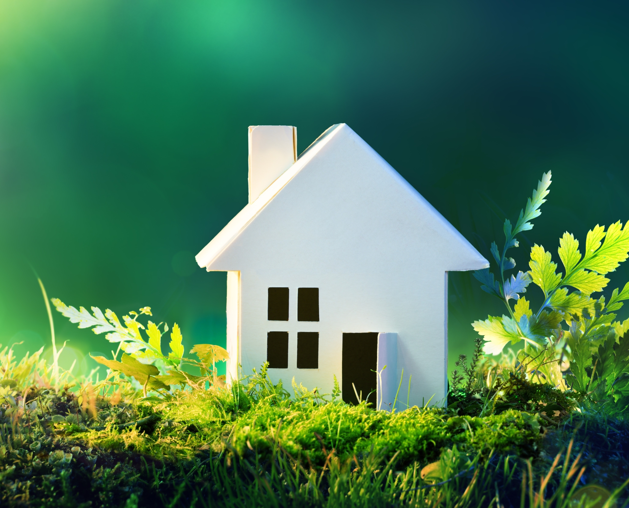 découvrez les meilleures solutions écologiques pour un mode de vie durable. adoptez des pratiques respectueuses de l'environnement et contribuez à la protection de notre planète grâce à des conseils et des alternatives innovantes.