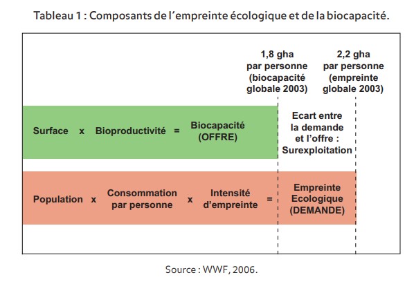 découvrez des stratégies efficaces pour optimiser votre impact écologique. apprenez à réduire votre empreinte carbone, à adopter des pratiques durables, et à préserver notre planète tout en améliorant votre efficacité. engagez-vous vers un avenir plus vert dès aujourd'hui.