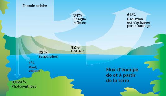 découvrez l'origine et le fonctionnement des panneaux photovoltaïques. apprenez comment cette technologie transforme la lumière du soleil en électricité renouvelable, contribuant ainsi à un avenir énergétique durable.