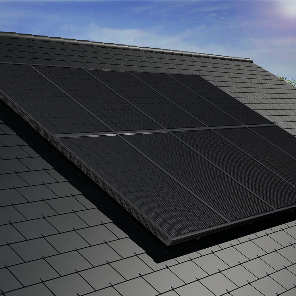 découvrez nos panneaux solaires professionnels, conçus pour maximiser l'efficacité énergétique et réduire vos factures d'électricité. idéaux pour les entreprises et les projets d'envergure, profitez d'une installation fiable et performante pour un avenir durable.