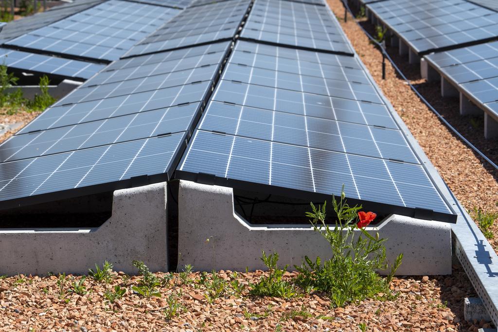 découvrez les panneaux photovoltaïques à genève pour une énergie solaire durable et économique. profitez de solutions adaptées pour réduire votre empreinte carbone tout en réalisant des économies sur votre facture d'électricité.