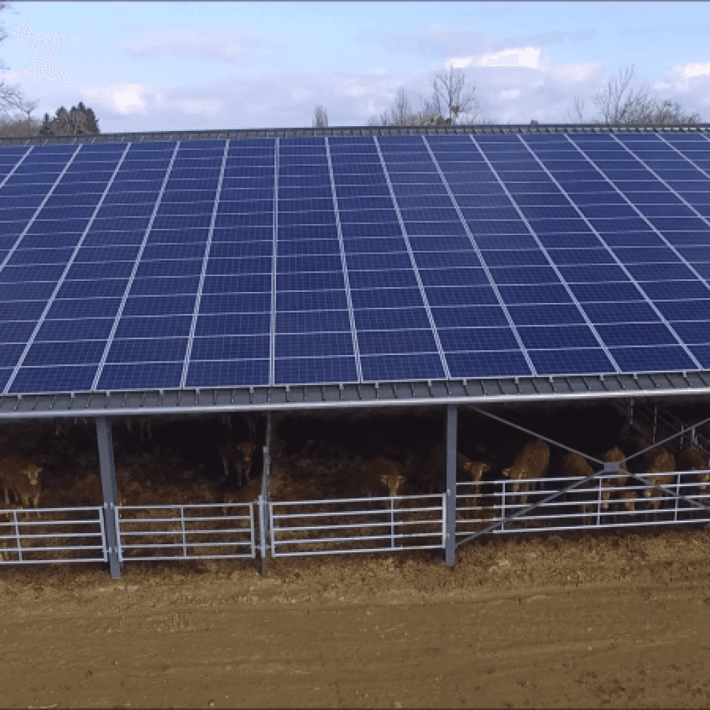 découvrez les avantages des panneaux photovoltaïques en gironde : une solution écologique pour produire votre propre électricité, réduire vos factures d'énergie et contribuer à la transition énergétique. informez-vous sur les installations, subventions et technologies disponibles.