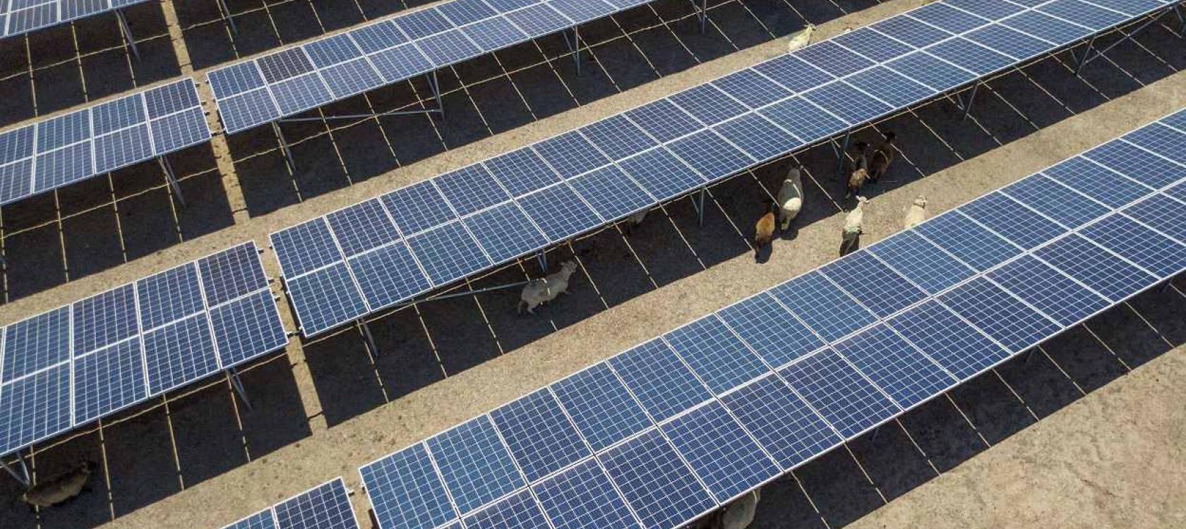 découvrez comment les panneaux photovoltaïques contribuent à la lutte contre le changement climatique en produisant une énergie propre et renouvelable. explorez les avantages écologiques et économiques de cette technologie durable.