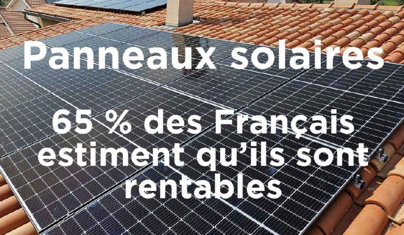 découvrez comment les panneaux photovoltaïques peuvent devenir une solution rentable pour votre foyer ou votre entreprise. profitez des économies d'énergie, des subventions et d'un avenir durable tout en réduisant votre empreinte carbone.