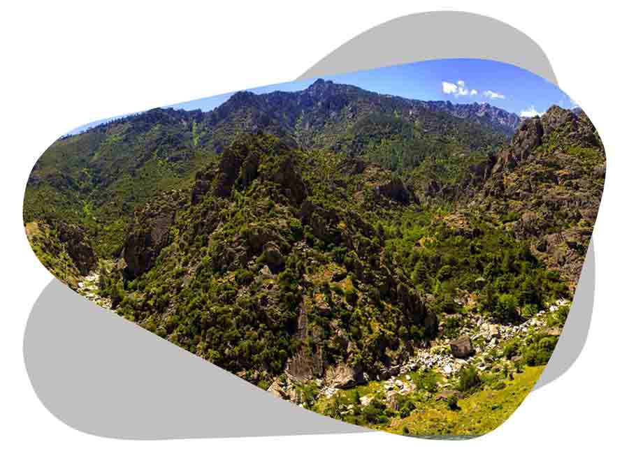 découvrez les avantages des panneaux solaires en corse : une énergie renouvelable, des économies sur vos factures et un geste pour l'environnement. optez pour une installation adaptée à votre maison et profitez du soleil corse toute l'année.