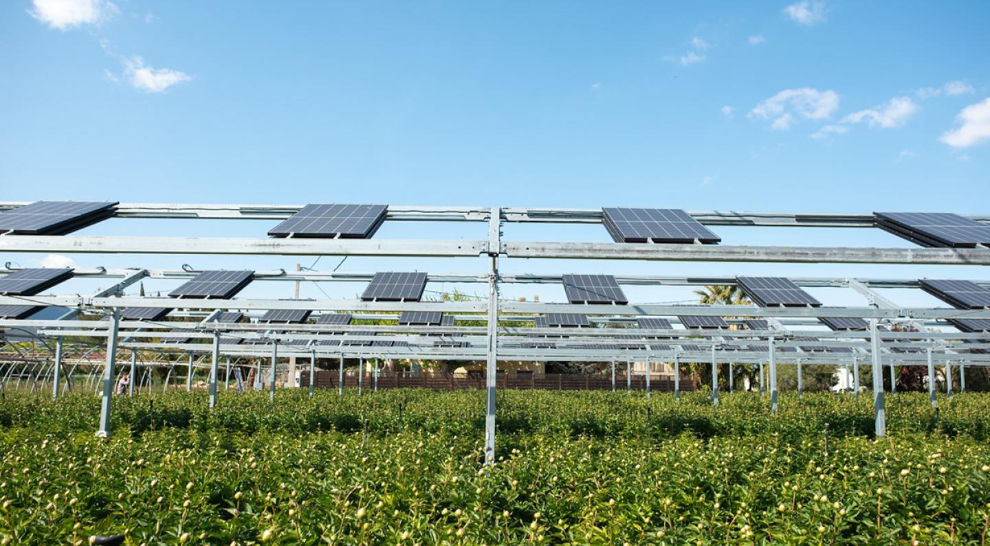 découvrez comment les panneaux solaires contribuent à une énergie durable et respectueuse de l'environnement. apprenez les avantages économiques et écologiques de cette technologie renouvelable pour un avenir énergétique plus vert.