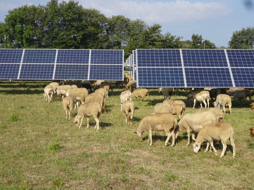 découvrez notre parc photovoltaïque, une solution innovante pour une énergie propre et renouvelable. profitez d'une production d'électricité respectueuse de l'environnement tout en contribuant à la transition énergétique.