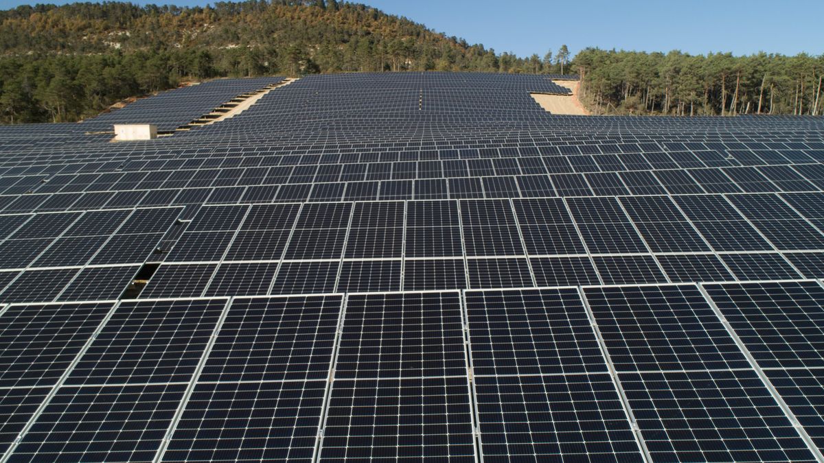 découvrez les prix compétitifs des arbres solaires, une solution innovante pour produire de l'énergie renouvelable tout en embellissant votre espace extérieur. informez-vous sur les différentes options et faites un choix écoresponsable.