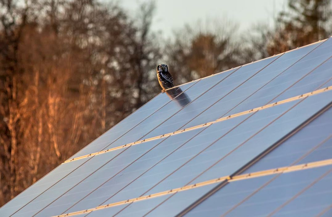 découvrez nos offres compétitives sur les panneaux solaires de 9 kw. profitez de l'énergie solaire et réduisez vos factures d'électricité tout en respectant l'environnement. informez-vous sur les prix et les avantages d'un panneau solaire 9 kw pour votre maison ou votre entreprise.