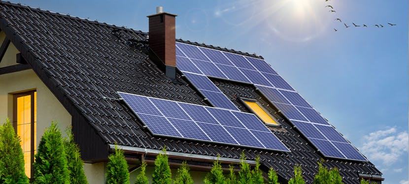 découvrez les prix des panneaux solaires en france. comparez les options, informez-vous sur les subventions disponibles et optimisez votre investissement énergétique grâce à des solutions durables et économiques.