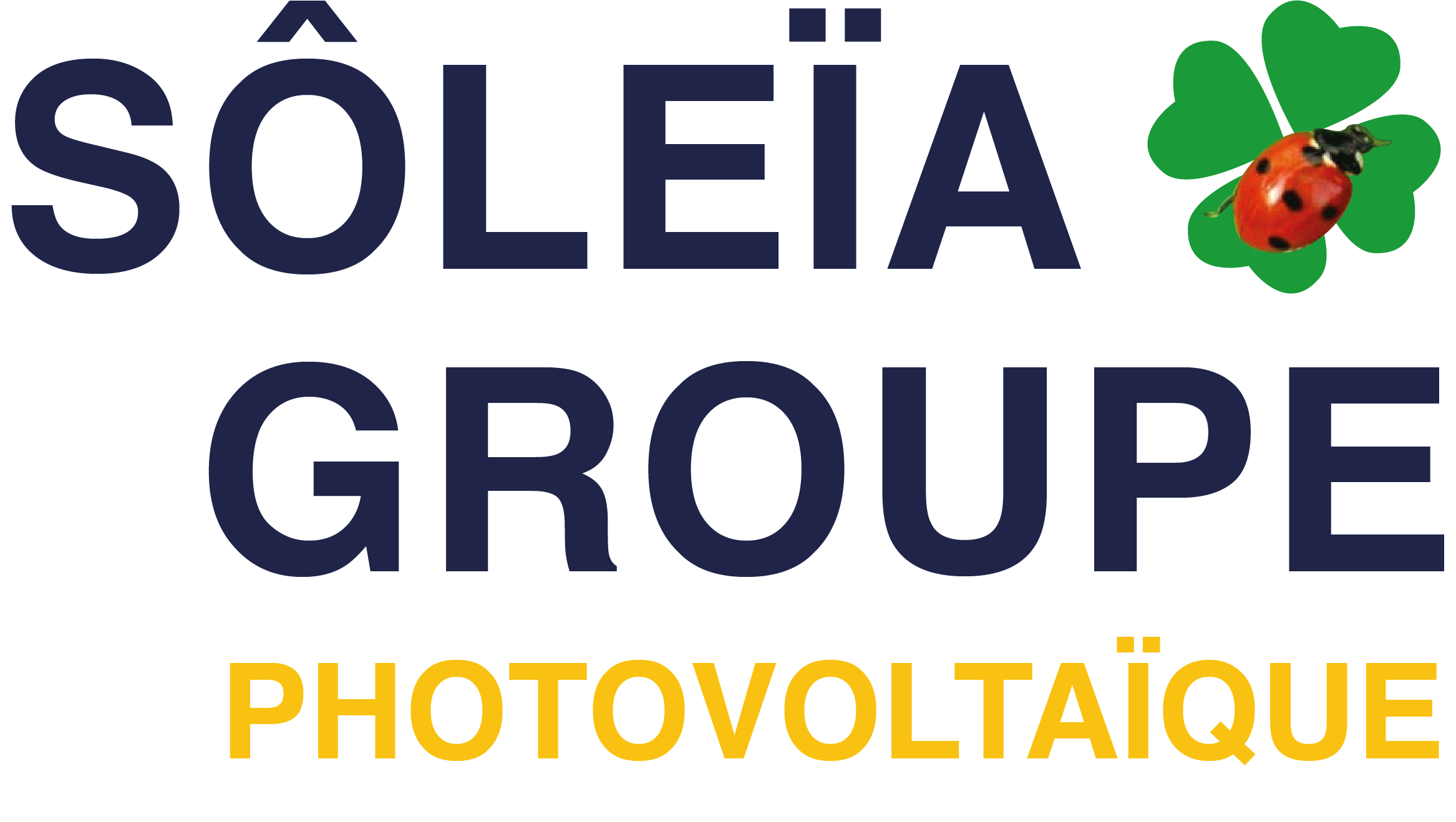 découvrez toutes les informations sur le pv perpignan, votre guide complet pour explorer les lieux, événements et activités incontournables de cette belle ville méditerranéenne. plongez dans l'ambiance et la culture de perpignan.