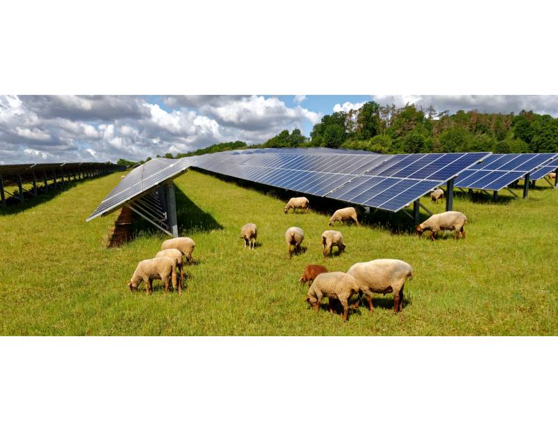 découvrez comment maximiser la rentabilité de vos panneaux solaires agricoles grâce à des conseils pratiques et des stratégies adaptées. améliorez vos rendements tout en contribuant à la durabilité de l'agriculture.