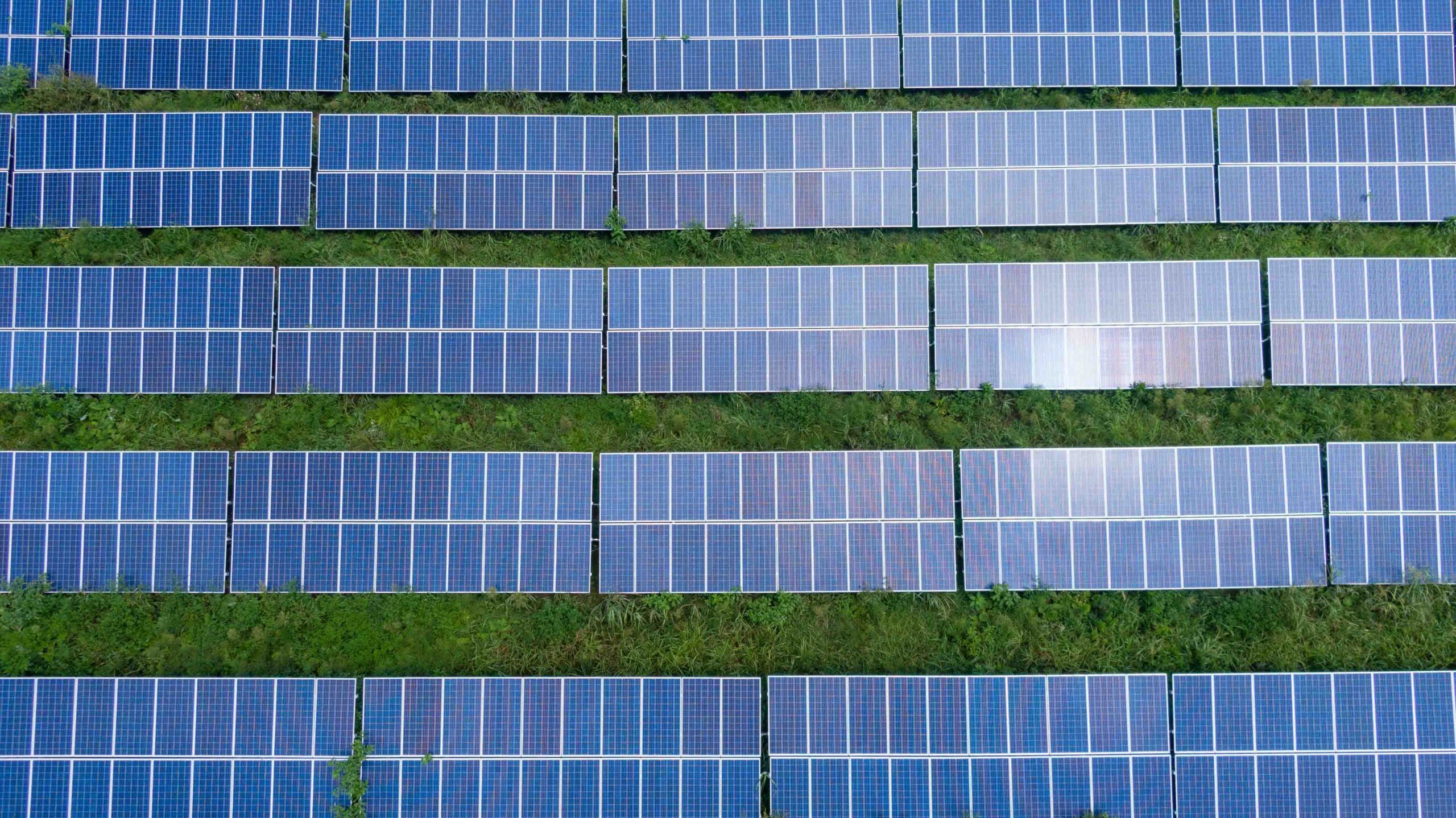 découvrez le rôle essentiel des panneaux solaires dans la production d'énergie renouvelable. apprenez comment ils transforment la lumière du soleil en électricité, contribuant ainsi à réduire notre empreinte carbone et à promouvoir un avenir durable.