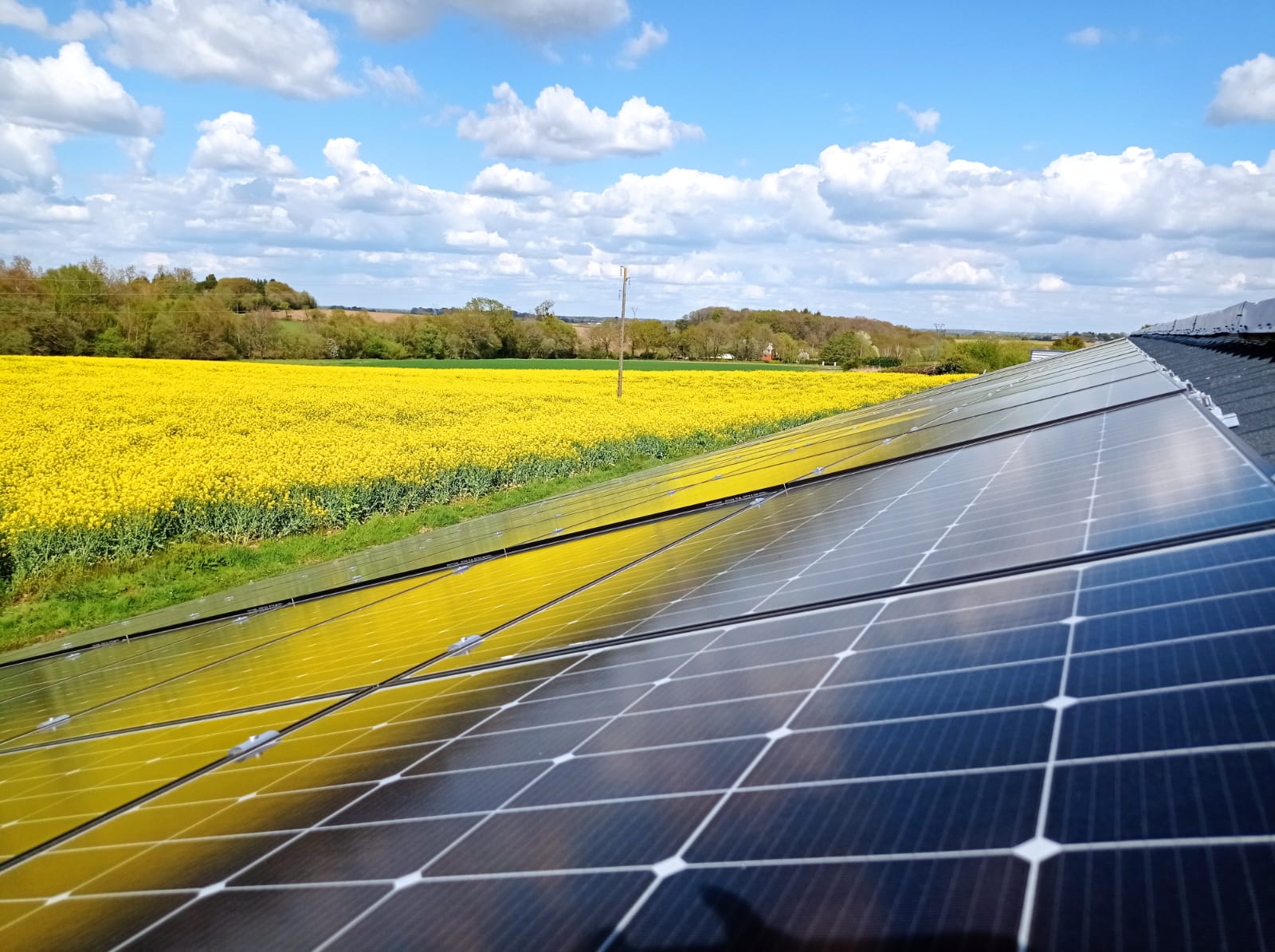 découvrez comment società optimise l'utilisation des panneaux photovoltaïques pour rendre votre champ plus écologique et rentable. transformez votre terrain en une source d'énergie renouvelable grâce à nos solutions adaptées à vos besoins.