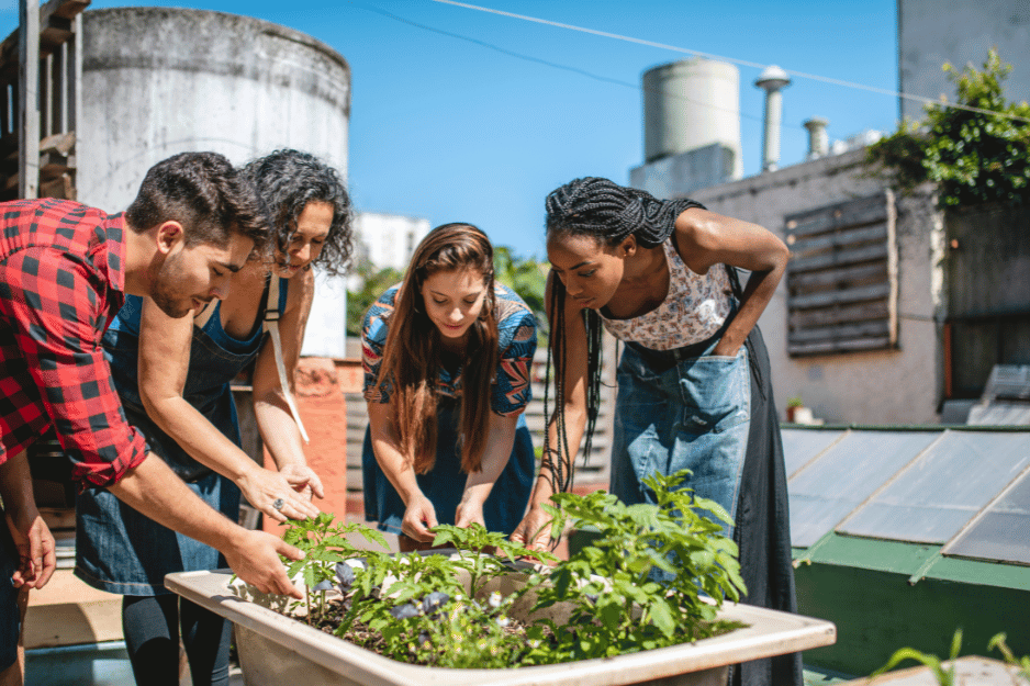 découvrez des solutions durables innovantes pour vos projets communautaires. transformez vos idées en actions concrètes et contribuez au développement durable de votre communauté tout en créant un impact positif sur l'environnement.