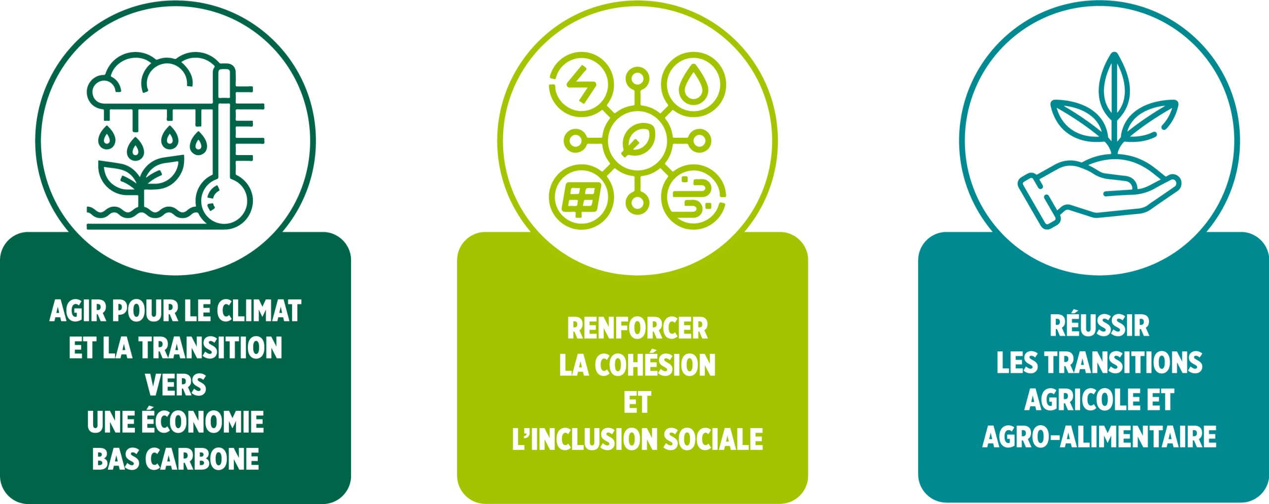 découvrez des solutions durables pour vos projets communautaires, favorisant l'engagement local et le développement responsable. ensemble, construisons un avenir meilleur et plus respectueux de l'environnement.