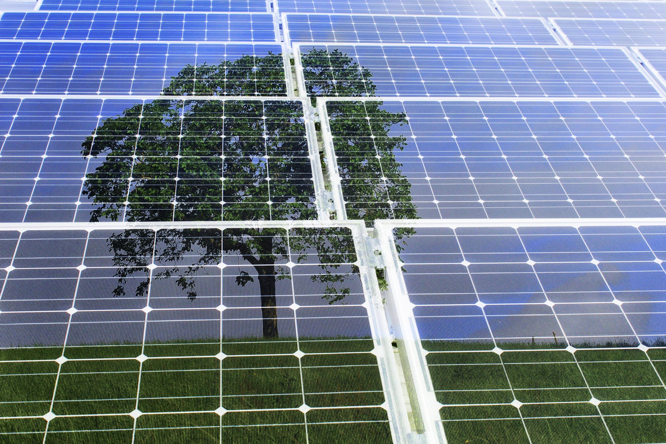 découvrez les solutions innovantes de stockage d'énergie solaire pour maximiser l'efficacité de vos installations photovoltaïques. optimisez l'utilisation de l'énergie renouvelable et réduisez votre empreinte carbone grâce à nos technologies de pointe.