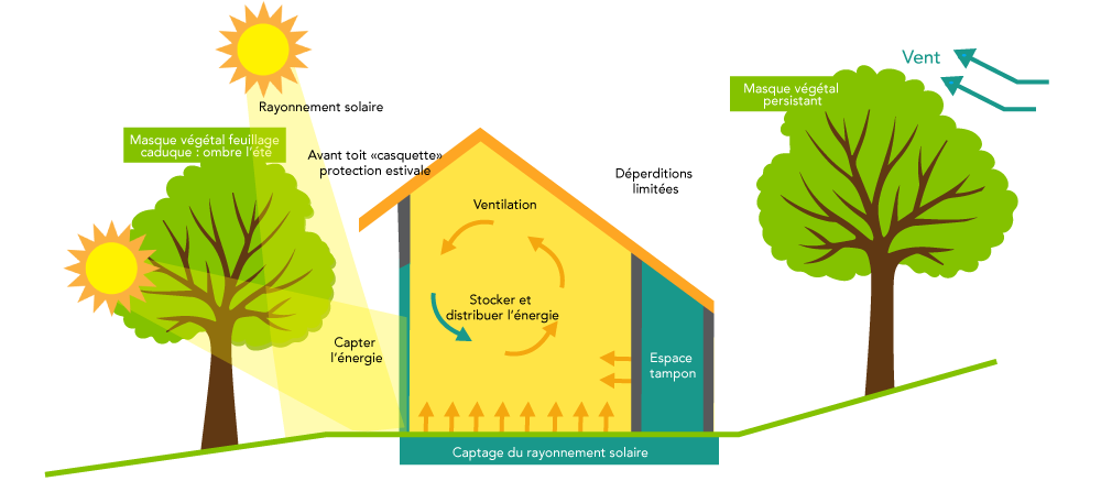 découvrez comment les systèmes de bâtiments à énergie positive transforment notre manière de construire et de consommer. apprenez les avantages d'une architecture durable qui génère plus d'énergie qu'elle n'en consomme, tout en réduisant l'empreinte carbone et en améliorant le bien-être des occupants.