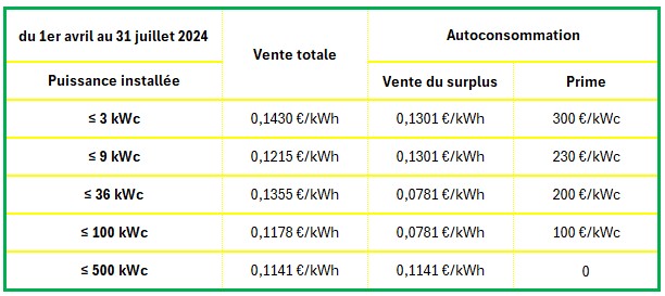 découvrez nos tarifs compétitifs pour l'installation de panneaux photovoltaïques. profitez des énergies renouvelables à prix réduit et économisez sur votre facture d'électricité tout en contribuant à la protection de l'environnement.