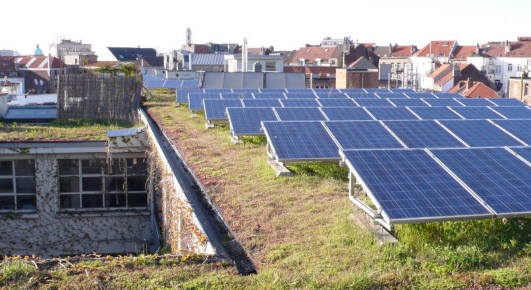 découvrez les nombreux avantages des toits verts solaires, alliant écologie et économies d'énergie. apprenez les étapes clés pour installer un toit vert solaire chez vous, et transforme votre espace en un havre de biodiversité tout en réduisant votre empreinte carbone.