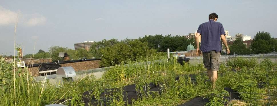 découvrez les avantages des toits verts solaires et les étapes pour les mettre en œuvre. apprenez comment allier écologie et énergie renouvelable pour une habitation durable.