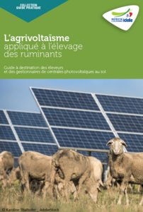 découvrez comment la révolution photovoltaïque transforme la ville de guidel en un modèle d'énergie durable. explorez les dernières innovations, les projets locaux et les avantages environnementaux d'une transition vers l'énergie solaire.