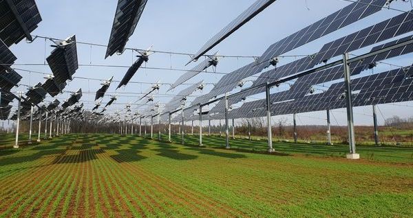 découvrez comment les panneaux solaires peuvent transformer l'agriculture en réduisant les coûts énergétiques et en augmentant la durabilité. explorez les avantages de l'énergie solaire pour les exploitations agricoles et contribuez à un avenir agricole plus vert.