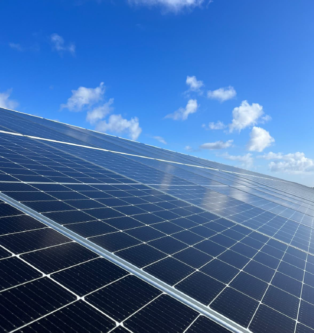 découvrez comment les panneaux solaires peuvent être intégrés dans les cimetières pour offrir une solution énergétique durable tout en respectant la sérénité des lieux de mémoire. informez-vous sur les initiatives éco-responsables qui allient respect de l'environnement et innovation.