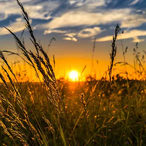 découvrez comment optimiser la lumière naturelle dans votre espace tout en maintenant un chauffage efficace. explorez des astuces pour allier confort thermique et luminosité, afin de créer un environnement de vie harmonieux et éco-responsable.