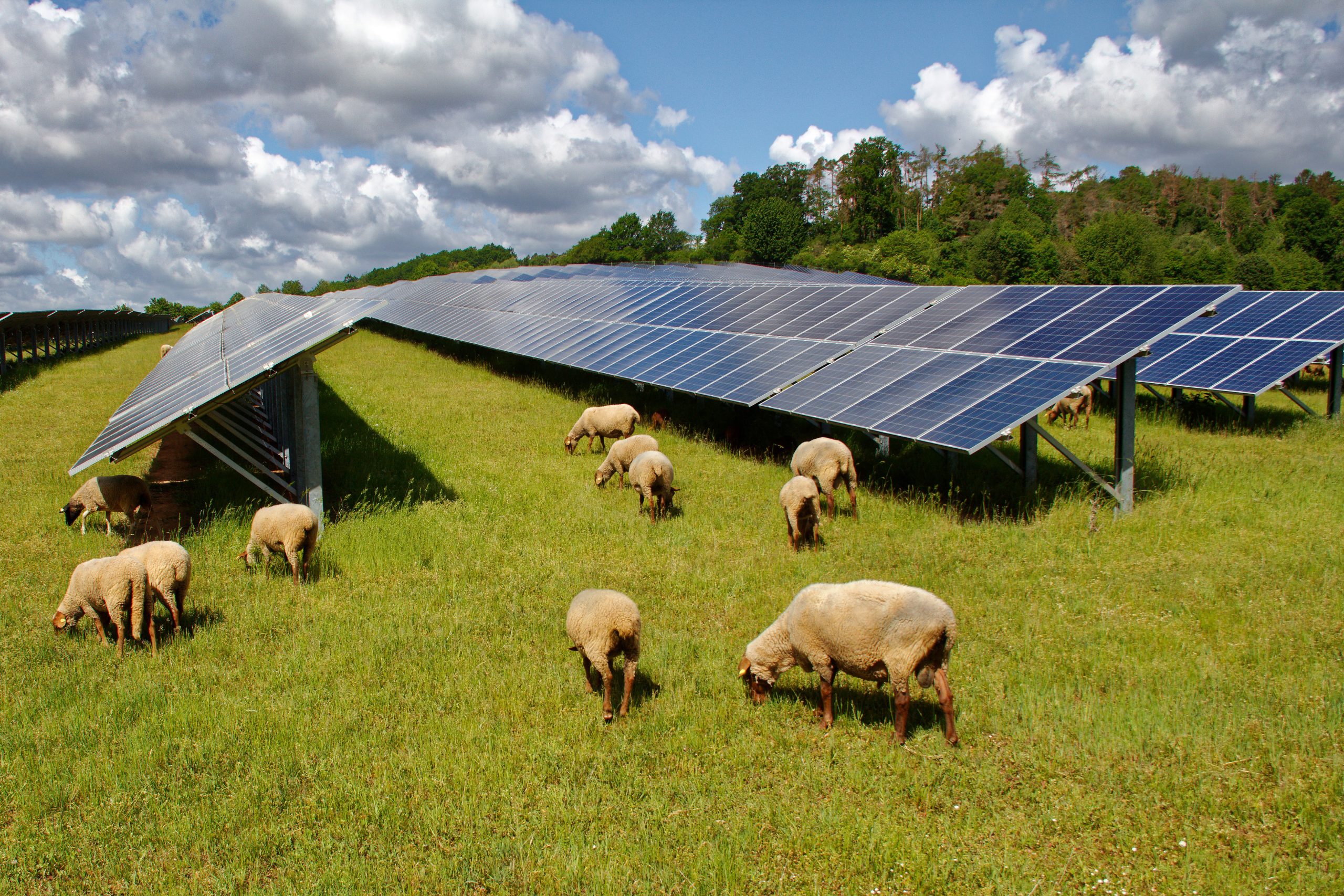 découvrez comment les panneaux photovoltaïques peuvent améliorer la rentabilité de votre exploitation agricole. profitez d'une énergie renouvelable, réduisez vos coûts d'électricité et valorisez vos terres tout en contribuant à la transition énergétique. optimisez votre production grâce à des solutions durables et performantes.