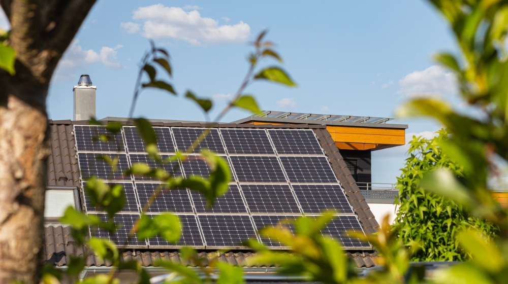 découvrez nos services d'installation de panneaux photovoltaïques à mont de marsan. bénéficiez d'une énergie propre et renouvelable tout en réduisant vos factures d'électricité. faites confiance à nos experts pour optimiser votre production d'énergie solaire.