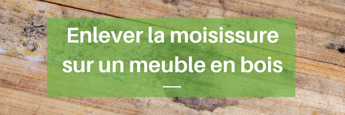 découvrez des méthodes efficaces pour éliminer les moisissures de votre maison. protégez votre santé et améliorez la qualité de l'air grâce à nos conseils pratiques et solutions naturelles.