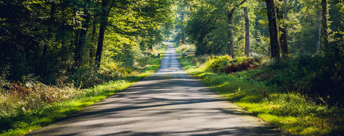 découvrez comment rendre votre espace extérieur accessible tout en profitant pleinement du soleil. nos conseils et astuces vous aideront à aménager un environnement accueillant pour tous, afin de savourer les rayons du soleil en toute sécurité.