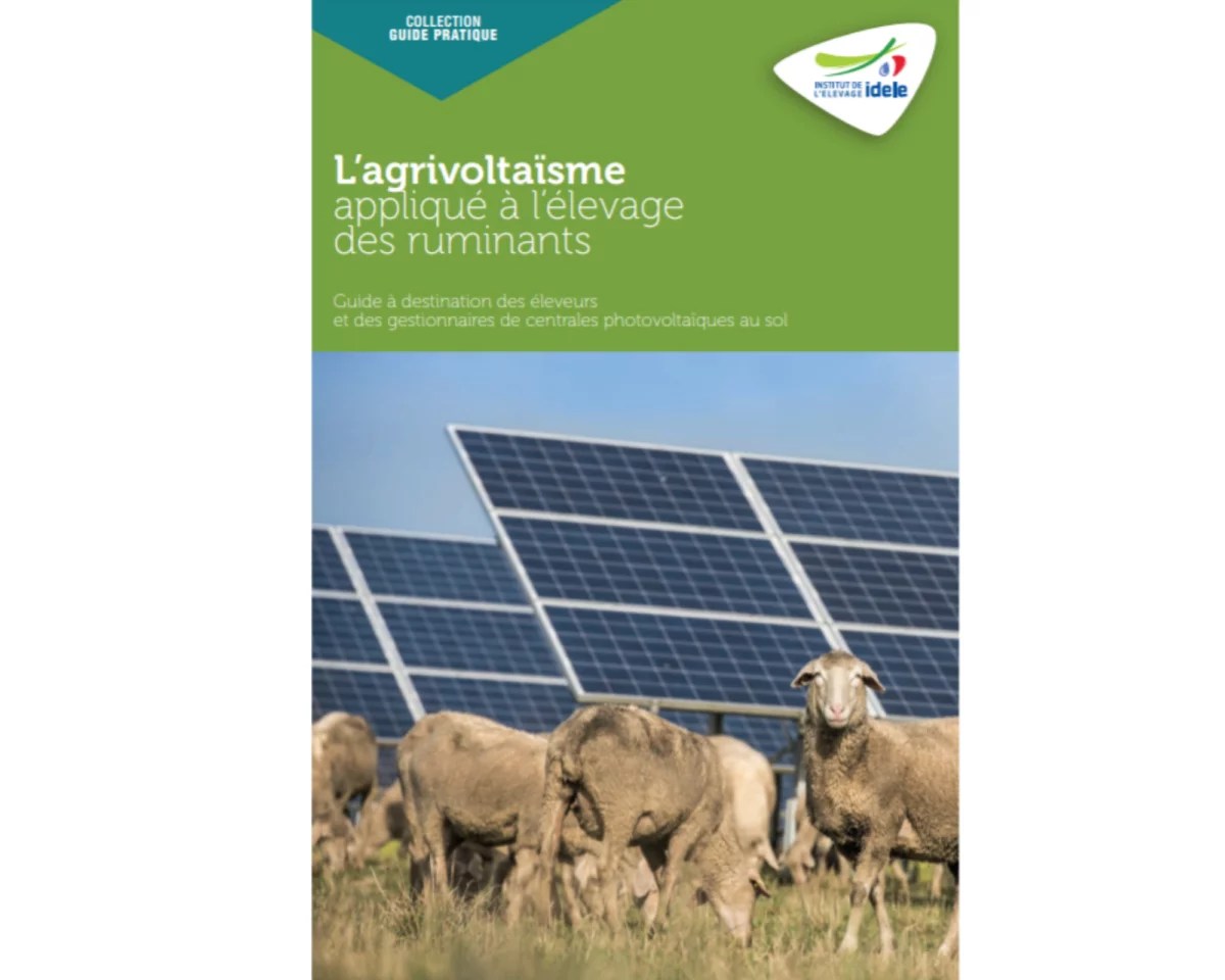 découvrez notre guide complet sur l'agrivoltaïsme, une solution innovante alliant agriculture et énergie solaire. apprenez comment optimiser vos terres agricoles grâce à des systèmes photovoltaïques, augmenter vos rendements et contribuer à la transition énergétique.