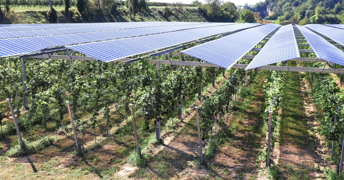 découvrez notre guide complet sur l'agrivoltaïsme, une solution innovante alliant production agricole et énergie solaire. apprenez comment optimiser vos terres agricoles grâce aux systèmes photovoltaïques, tout en préservant l'environnement et en augmentant vos revenus.