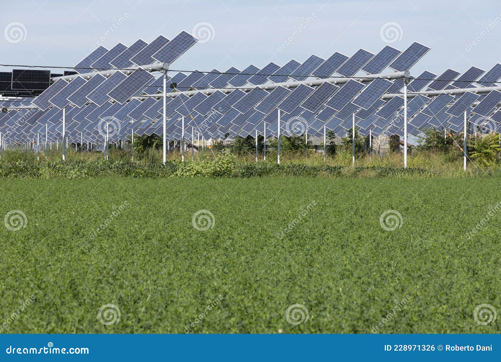 découvrez l'agro-photovoltaïque, une solution innovante alliant agriculture et énergie solaire pour optimiser l'utilisation des terres tout en produisant de l'électricité verte. adoptez une approche durable et performante pour vos cultures !