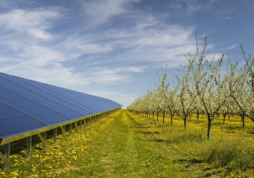 découvrez les avantages de l'agro-photovoltaïque, une solution innovante alliant agriculture et production d'énergie solaire. apprenez comment cette technologie durable optimise l'utilisation des terres, réduit les émissions de carbone et améliore la rentabilité des exploitations agricoles tout en préservant l'environnement.