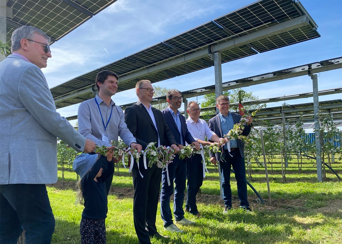 découvrez l'agro-photovoltaïque, une solution innovante alliant agriculture et production d'énergie solaire. apprenez comment cette technique durable optimise les surfaces cultivables tout en générant de l'électricité, contribuant ainsi à la transition énergétique et à la préservation de l'environnement.