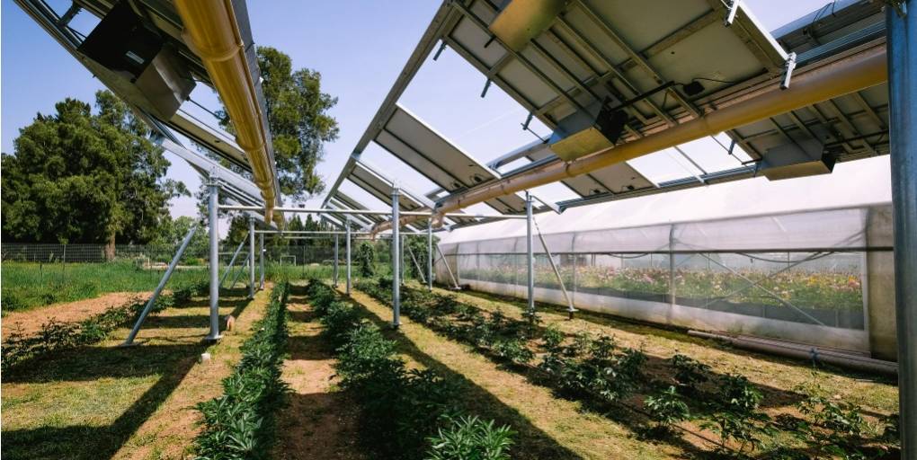 découvrez les nombreux avantages des panneaux photovoltaïques pour l'agriculture : réduction des coûts énergétiques, amélioration de la rentabilité, impact environnemental positif et valorisation des terres agricoles. adoptez une solution durable pour une agriculture moderne et compétitive.