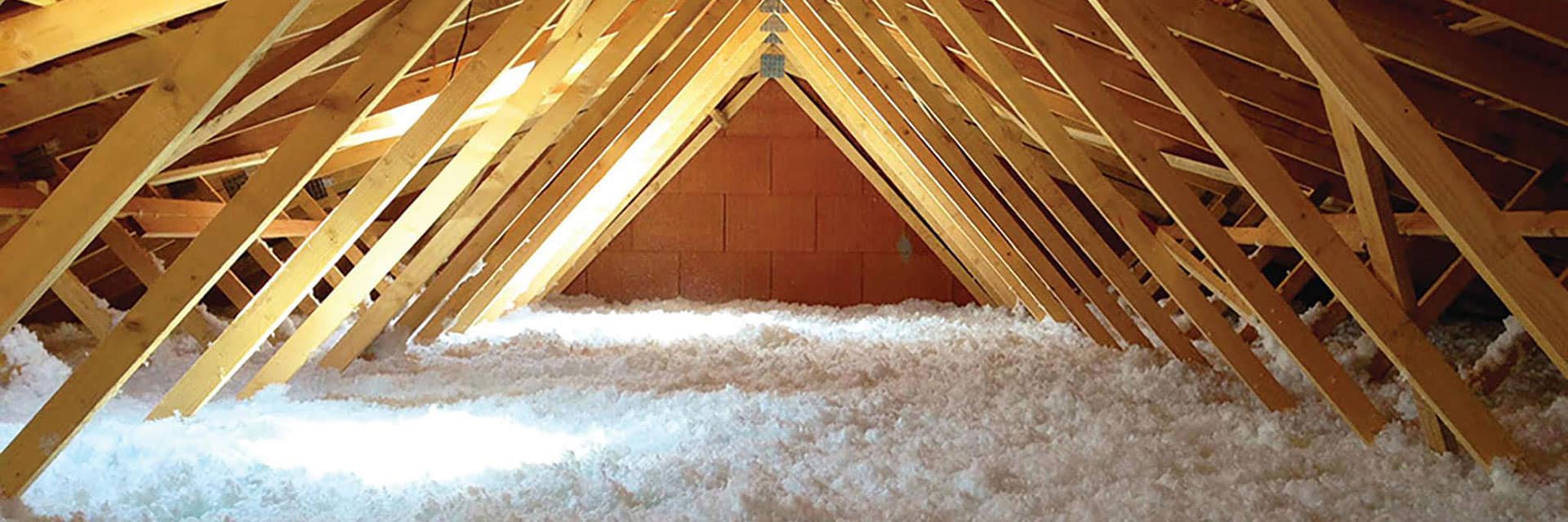 découvrez notre sélection d'avis sur l'isolation à 1 euro : une opportunité à ne pas manquer pour améliorer votre confort tout en réalisant des économies d'énergie. informez-vous sur les avantages, les conditions d'éligibilité et les retours d'expérience de ceux qui ont déjà profité de cette aide !