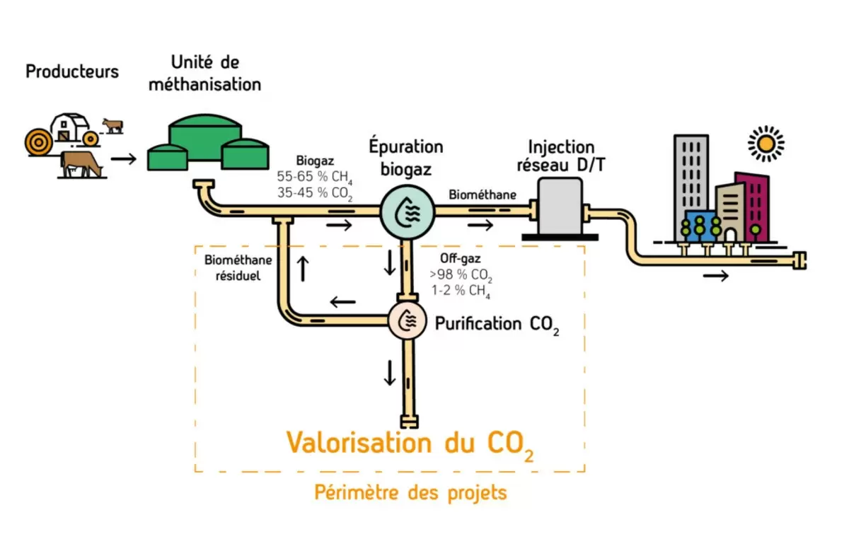 découvrez comment le biogaz contribue à la compensation carbone, en transformant les déchets organiques en une source d'énergie renouvelable. apprenez les avantages environnementaux et économiques de cette solution durable pour réduire votre empreinte carbone.